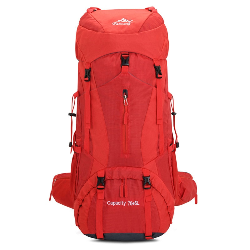 Hiking Backpack Climbing Traveling Sightseeing Outdoor Camping Rucksack Waterproof