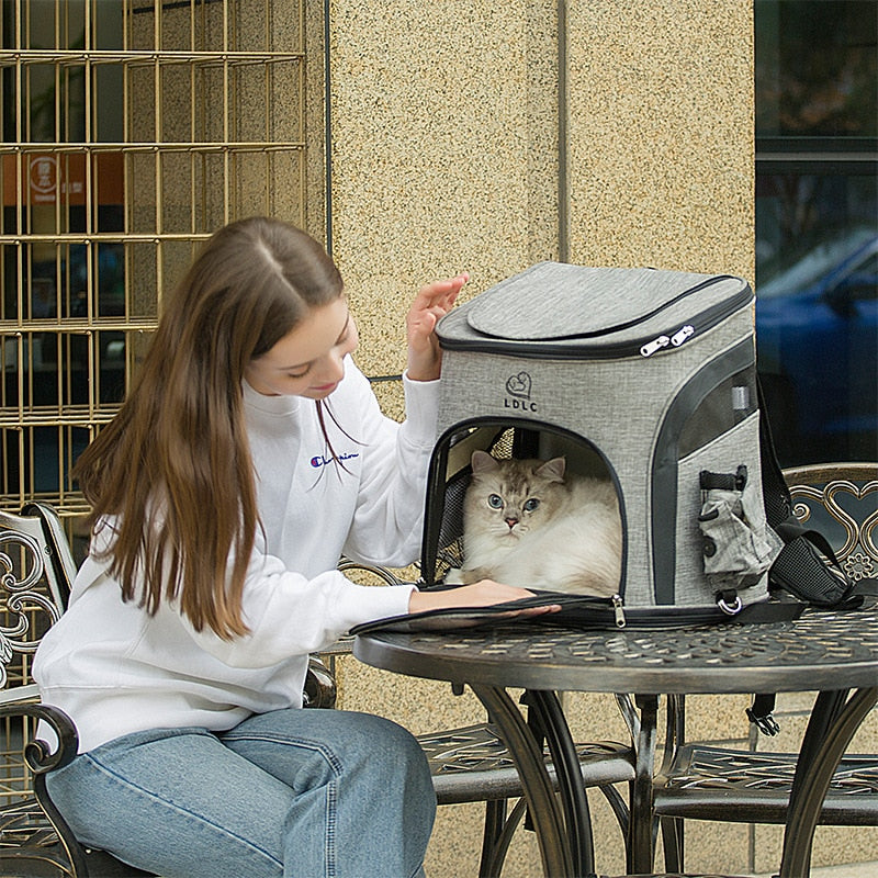 Travel Bag Pet Sports Backpack Portable Collapsible Breathable Cattery Pet