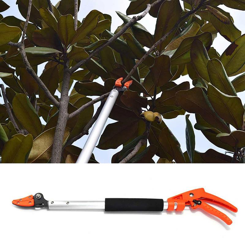 Cut And Hold Tree Pruner Short Reach Tree Branch CutterTrimmers Pole Saws Pruning Shears